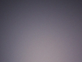 Emperor Penguins